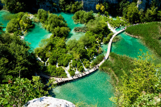 istock the Plitvice Lakes National Park in Croatia 859628204