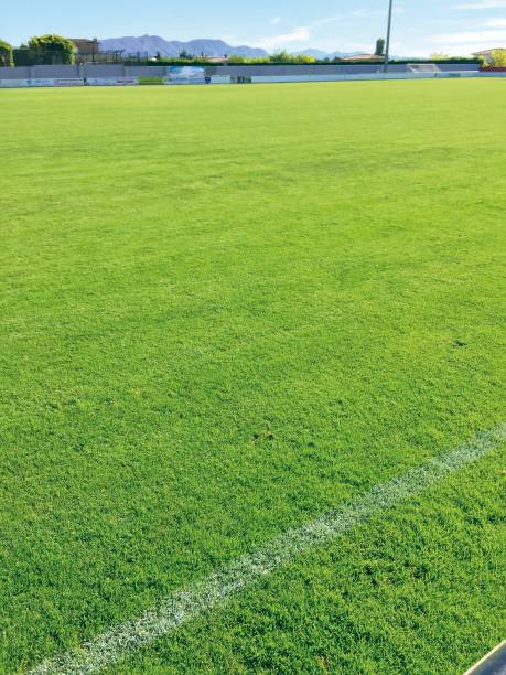 istock Football field 6 859631198