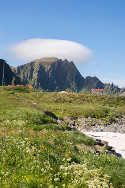 istock Andenes in Lofoten in Norway 859642666