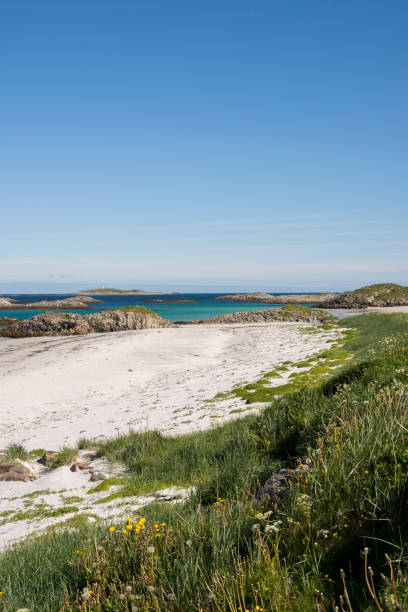 istock Andenes in Lofoten in Norway 859642752