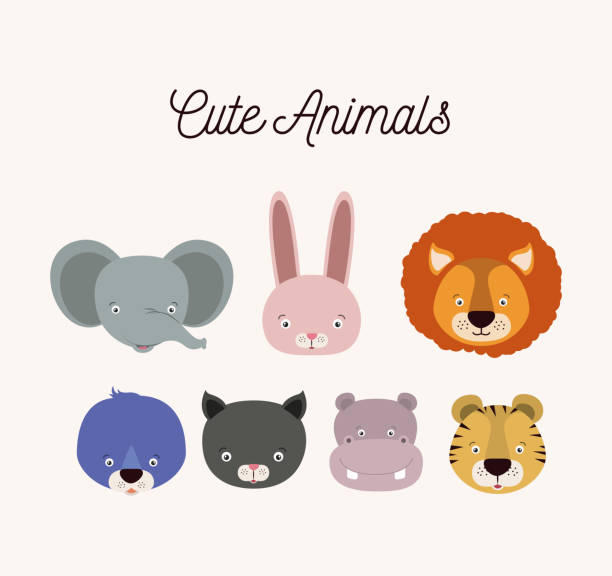 white background with set color face cute animals white background with set color face cute animals vector illustration elephant ear plant stock illustrations