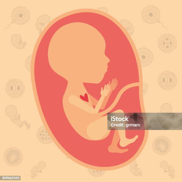 Color Background Pattern Pregnancy Icons With Fetus Human Growth In Placenta Semestrer Stock Illustration - Download Image Now