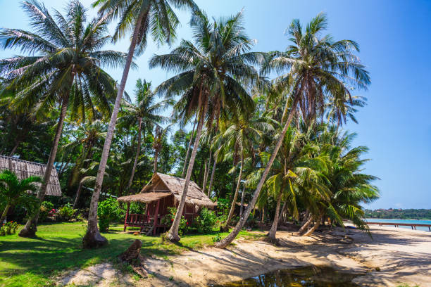 istock Beautiful tropical beach at island Koh Chang 859663610