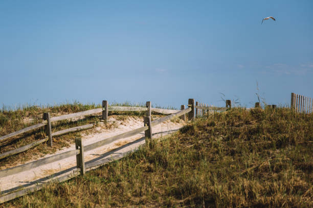 istock Atlantic City walkway by the ocean 859674948