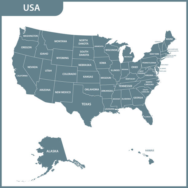 szczegółowa mapa usa z regionami. stany zjednoczone ameryki. - maryland map vector shape stock illustrations