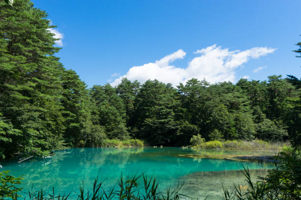 istock Image of Aonuma in Gosonuma 859677524