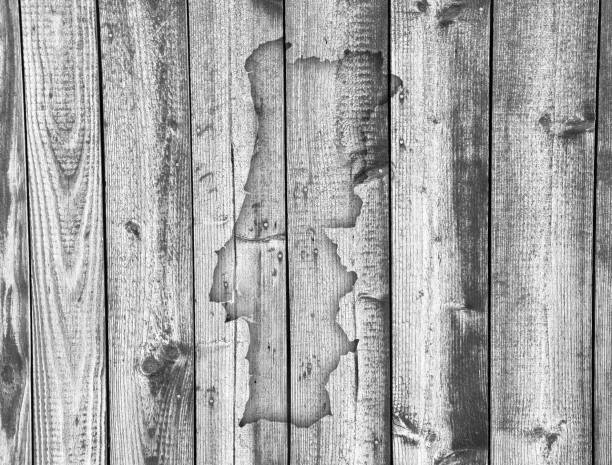 istock Map of Portugal on weathered wood 859680918