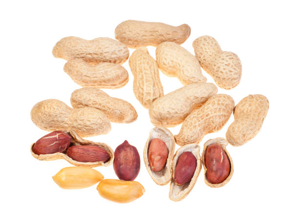 istock A pile of delicious peanuts in the shell with few half opened nuts isolated on white background 859681378