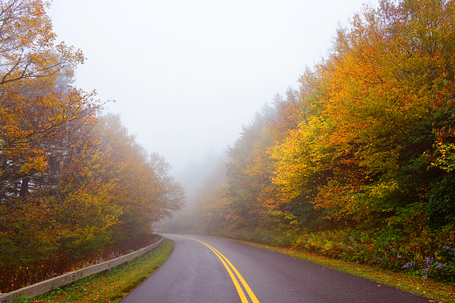 Foggy morning on  Blue Ridge Parkway, road  winding through  colorful  autumn forest. North Carolina, USA.