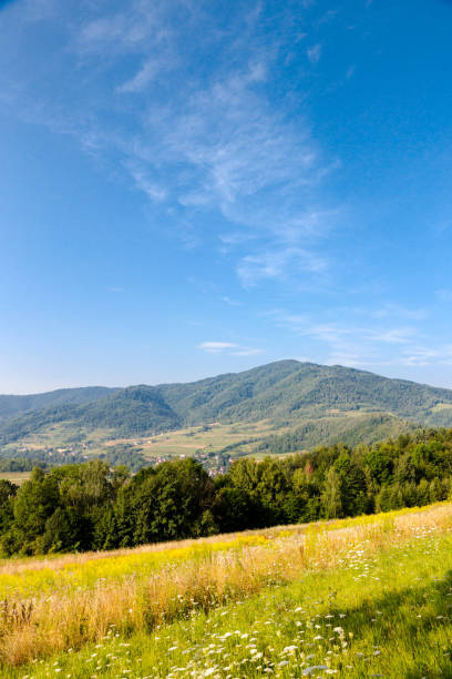 regione di łącko a podhale, sulle montagne polacche - 2786 foto e immagini stock