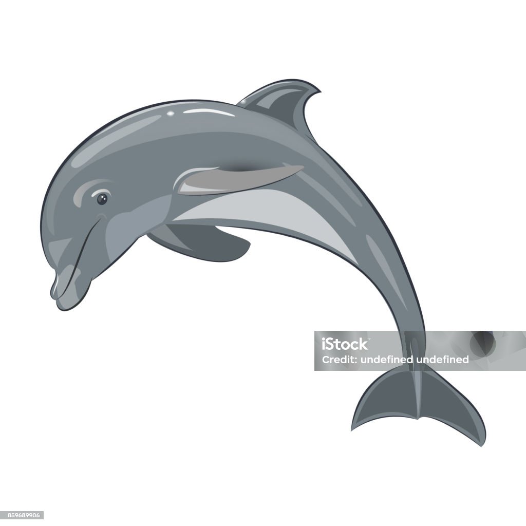 Hình Minh Họa Vector Của Một Con Cá Heo Trên Nền Trong Suốt Hình ...