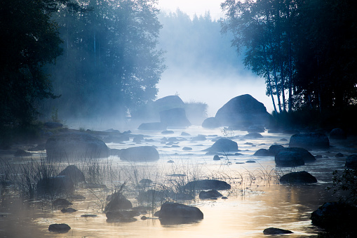Mist Rising over Shallow River