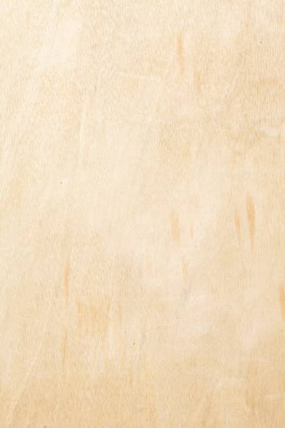 istock light brown wooden wall on a construction fence 859696512