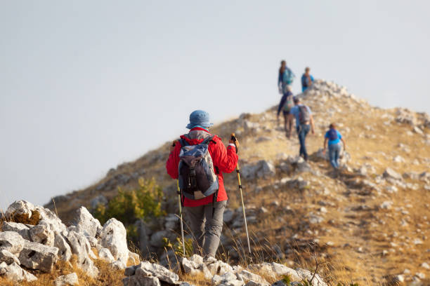 a group of hikers reaches the top of a mountain - journey footpath exercising effort imagens e fotografias de stock