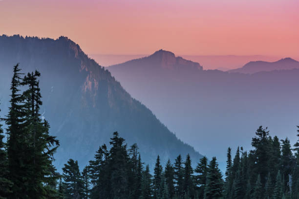 istock Pine Trees in front of Hazy Purple Sunset 859706676