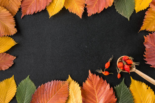 istock Frame composed of autumn leaves over black 859710632
