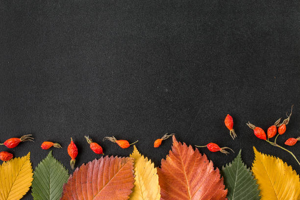 istock Autumn leaves on a chalkboard 859710634