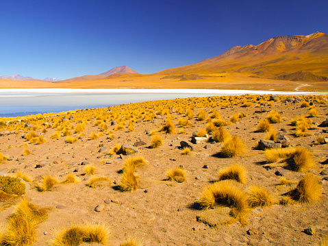 Desolate desert and mountainous landscape of southern Altiplano with lagoon, Andes, Bolivia.
