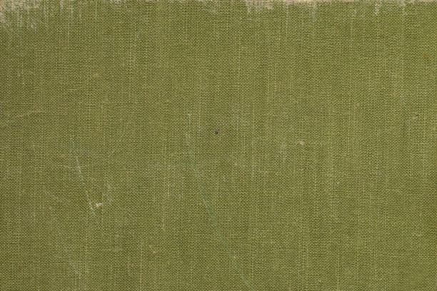 istock A vintage cloth book cover with green screen pattern 859710686