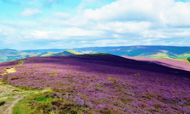 istock The English Peak District. 859716602