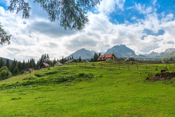 Beautiful landscape Beautiful landscape in Montenegro with fresh grass and beautiful peaks. Durmitor National Park in Montenegro. durmitor national park photos stock pictures, royalty-free photos & images