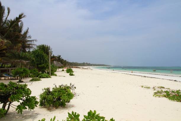 istock Beaches of Zanzibar 859719088