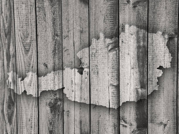 istock Map of Austria on weathered wood 859720212