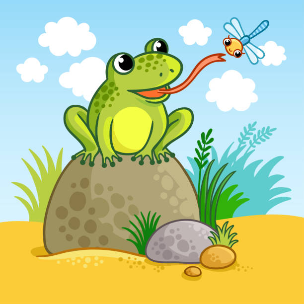 illustrations, cliparts, dessins animés et icônes de la grenouille est assis sur un gros rocher. - frog animal tongue animal eating