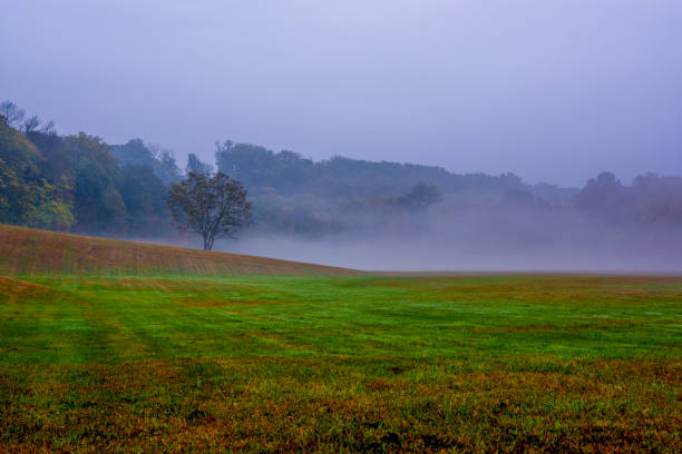 Fall Landscape Romantic misty morning in New Jersey. Beautiful autumn scenery gladstone new jersey stock pictures, royalty-free photos & images