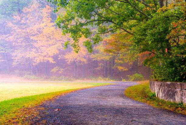 Fall Landscape Colorful autumn scenery. Foggy morning in Gladstone, New Jersey gladstone new jersey stock pictures, royalty-free photos & images