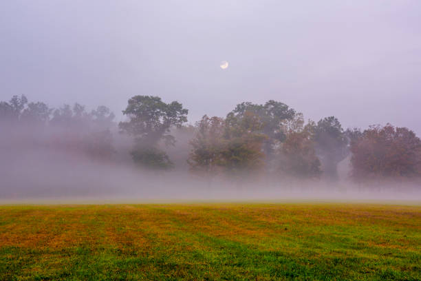 Fall Landscape Mystical harvest moon in October. Colorful autumn scenery with the trees surrounded by fog on the foreground gladstone new jersey stock pictures, royalty-free photos & images