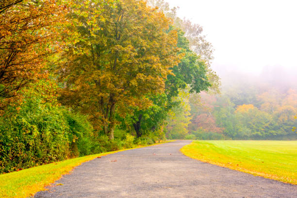 Fall Landscape Misty morning view of autumn park. Beautiful fall range of colors: yellow, orange, green, and red gladstone new jersey stock pictures, royalty-free photos & images