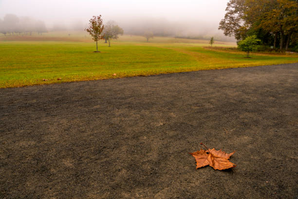 Autumn Beauty Single leaf on the path on the foreground and foggy trees on the background. Simple but beautiful autumn landscape gladstone new jersey stock pictures, royalty-free photos & images