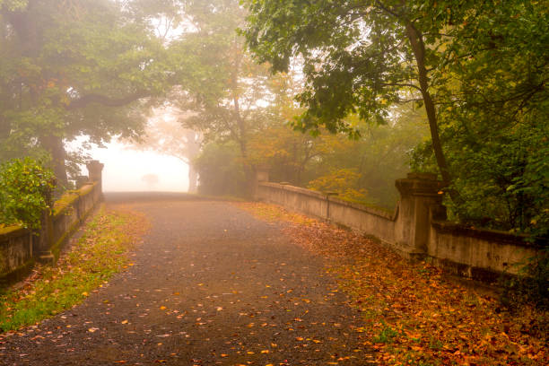 Fall Landscape Bridge into the autumn fog. Amazing fall season scenery gladstone new jersey stock pictures, royalty-free photos & images