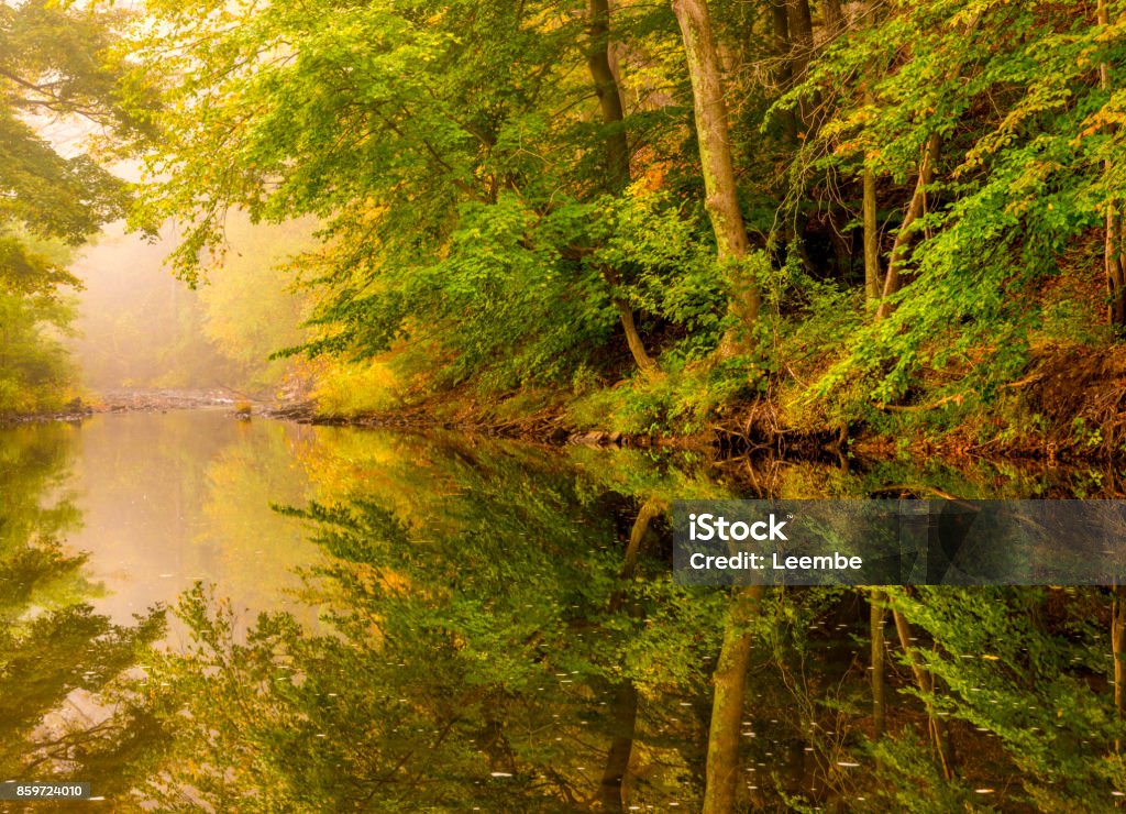 Fall Landscape River autumn foggy morning. Amazing seasonal colors and trees reflection in the water Gladstone - New Jersey Stock Photo