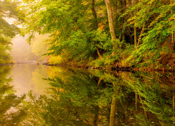 Fall Landscape River autumn foggy morning. Amazing seasonal colors and trees reflection in the water gladstone new jersey stock pictures, royalty-free photos & images