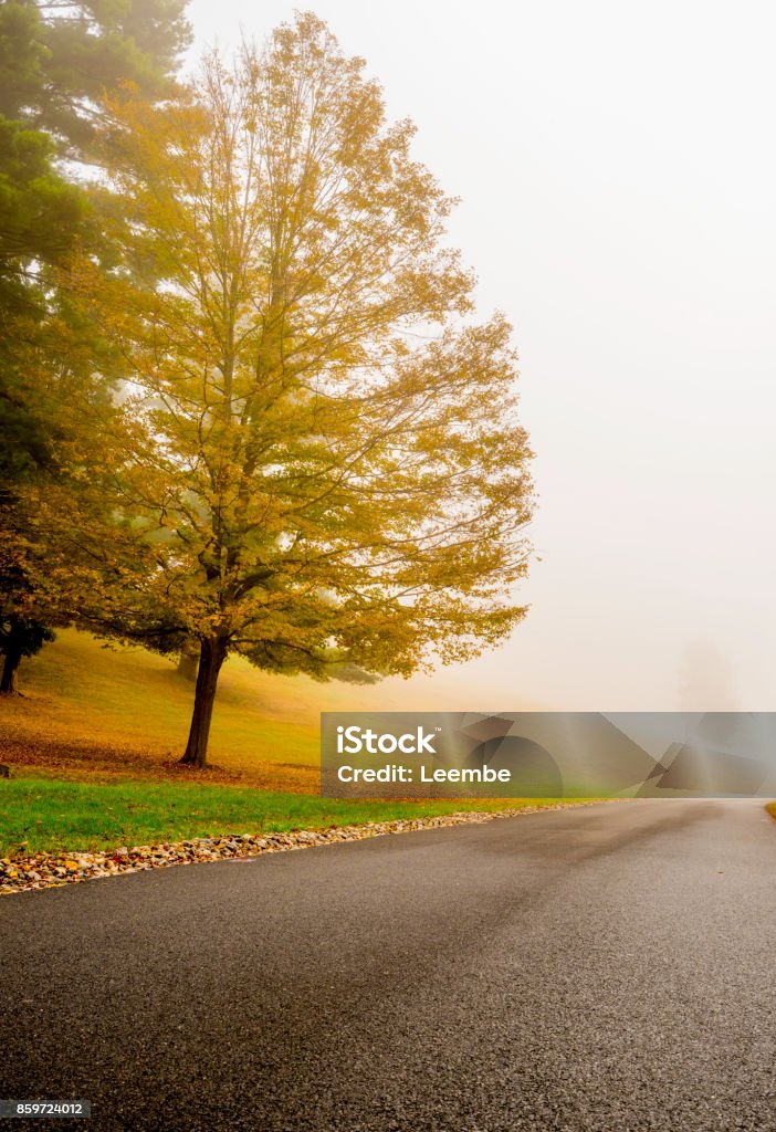 Fall Landscape Lovely autumn scenery with the fog on the background Autumn Stock Photo