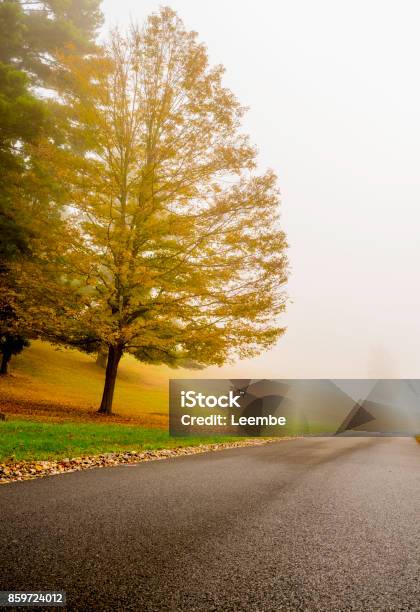 Fall Landscape Stock Photo - Download Image Now - Autumn, Backgrounds, Beauty In Nature