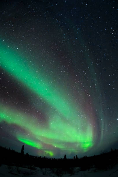 aurora borealis 、光 - arctic canada landscape manitoba ストックフォトと画像