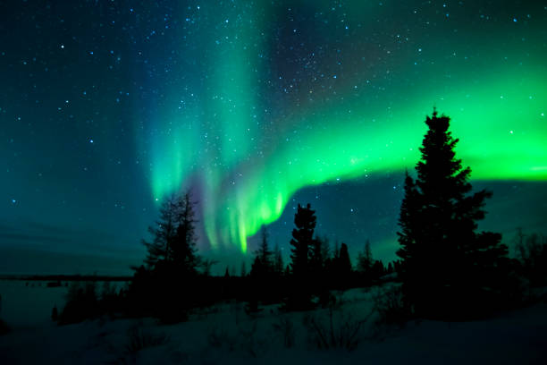 aurora borealis 、光 - arctic canada landscape manitoba ストックフォトと画像