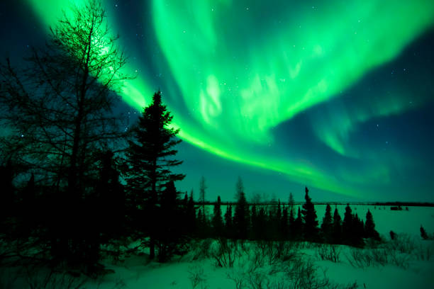 aurora borealis, northern lights - arctic canada landscape manitoba imagens e fotografias de stock