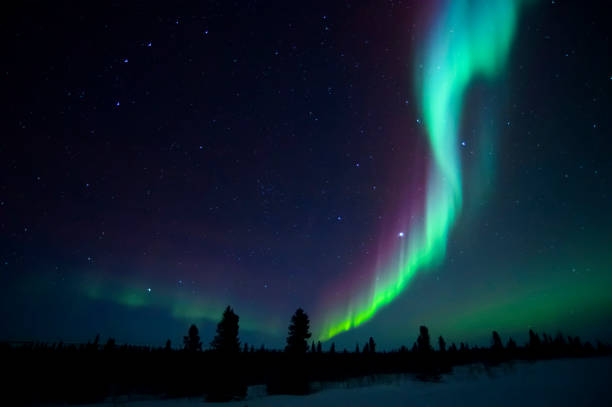 aurora borealis, northern lights - arctic canada landscape manitoba imagens e fotografias de stock