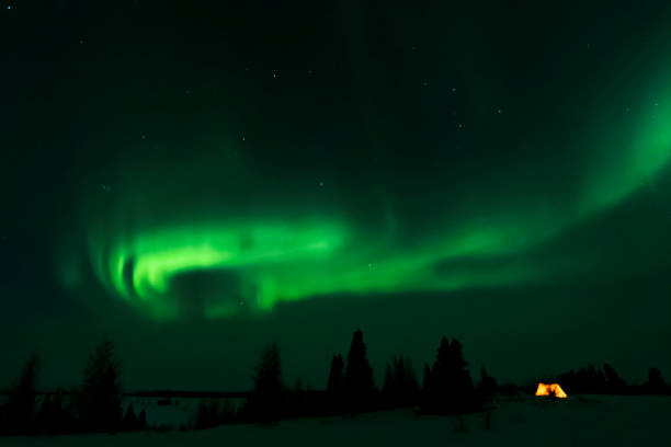 aurora borealis, northern lights - arctic canada landscape manitoba imagens e fotografias de stock