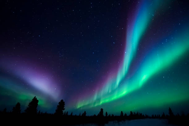 aurora borealis 、光 - arctic canada landscape manitoba ストックフォトと画像