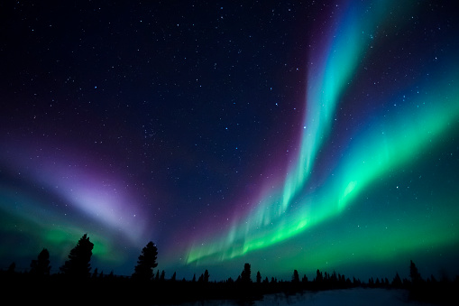 Nightsky lit up with aurora borealis, northern lights, wapusk national park, Manitoba, Canada.Aurora Borealis, Northern lights, Wapusk national park, Manitoba, Canada.