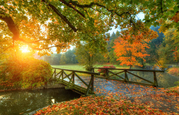 istock Beautiful autumn scenery in park. 859743736