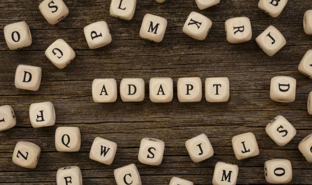 istock Word ADAPT written on wood block 859747522