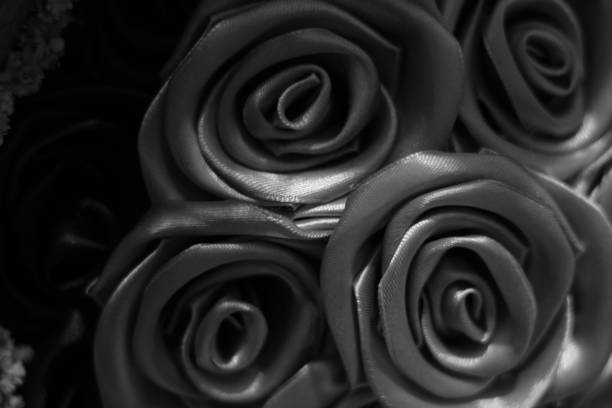 istock black and white flower background. 859753156
