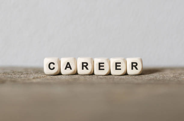 istock Word CAREER made with wood building blocks 859756866