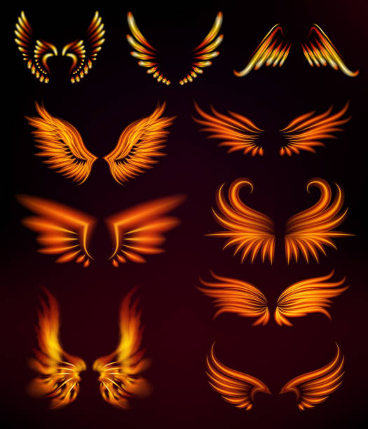 ilustraciones, imágenes clip art, dibujos animados e iconos de stock de fuego de aves alas de fantasía pluma ardiente resplandor místico mosca ardiente quemadura caliente arte vector ilustración en negro - costa de la luz